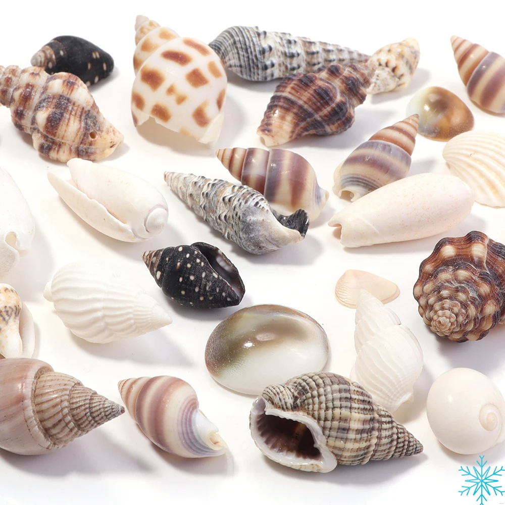 Thumbnail 3 - #43 Latest Aquarium Decor Offers