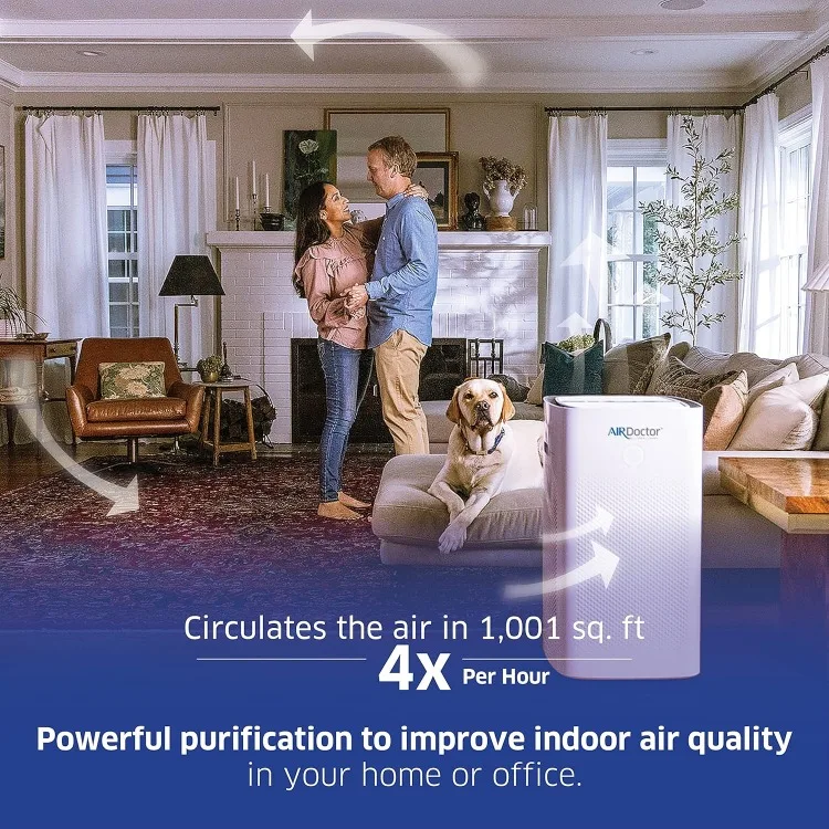 Purificateur d'air HEPA et VOC, ultra-HEPA, carbone, livre VOC, pour les espaces extra larges et les concepts ouverts