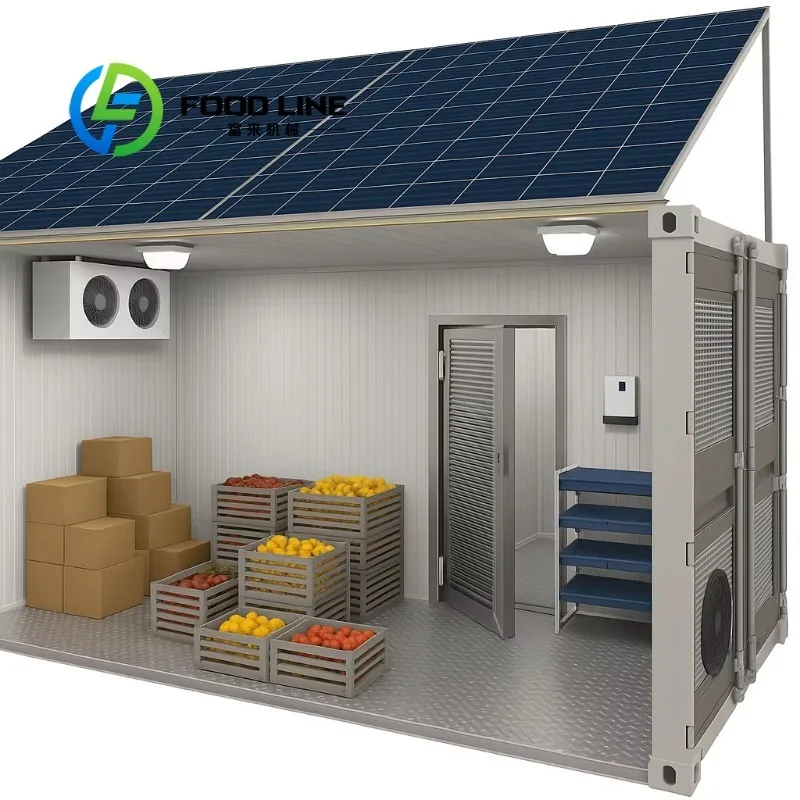 Small Walk in Cooler Freezer Room Compact Plug and Play Integrated Monoblock Unit for Ice Block Meat Fish Storage Solar