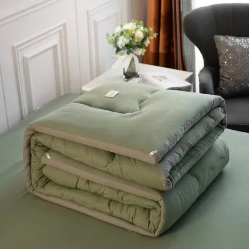 

Thickened warm winter quilt spring and autumn student dormitory single quilt silk cotton double skin-friendly quilt core