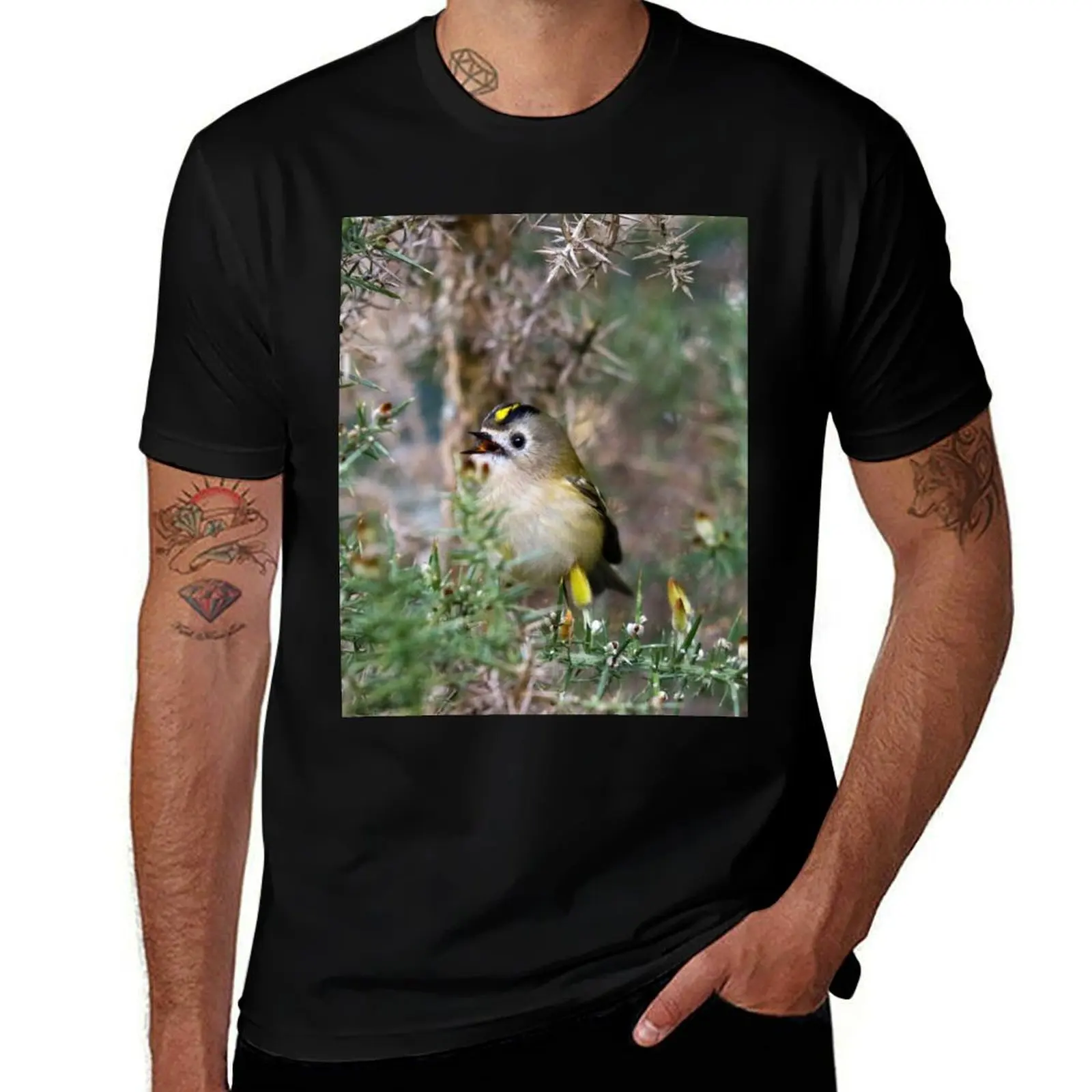 

Singing goldcrest T-Shirt g man t shirts for men t shirt man designer man graphic t shirt T-shirt