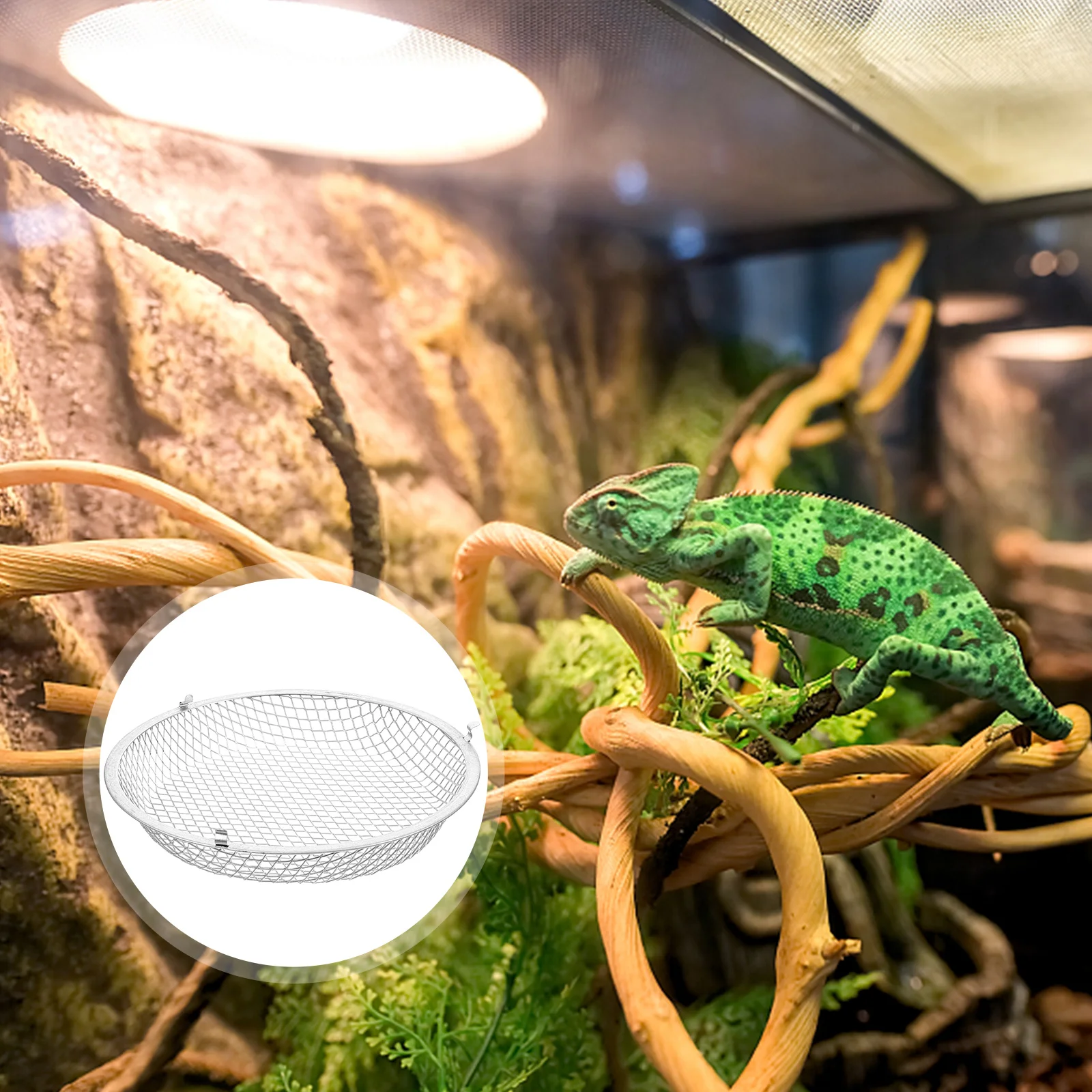 

Anti Scald Lampshade Box Insulation Metal Heat Resistant Efficient Heat Dissipation Reptile Lamp Cover Ceramic Heating Light