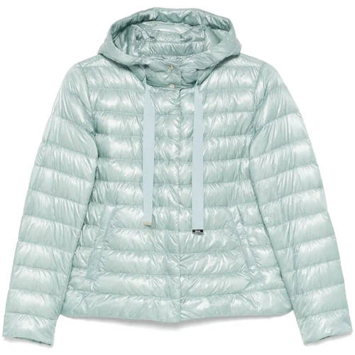 أسفل المعاطف