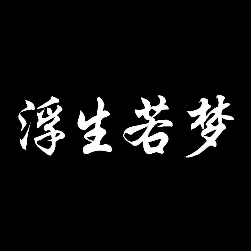 Chinese Characters Life Is Like A Dream Vinyl Decal Car Sticker Black Silver17.4CM*5CM