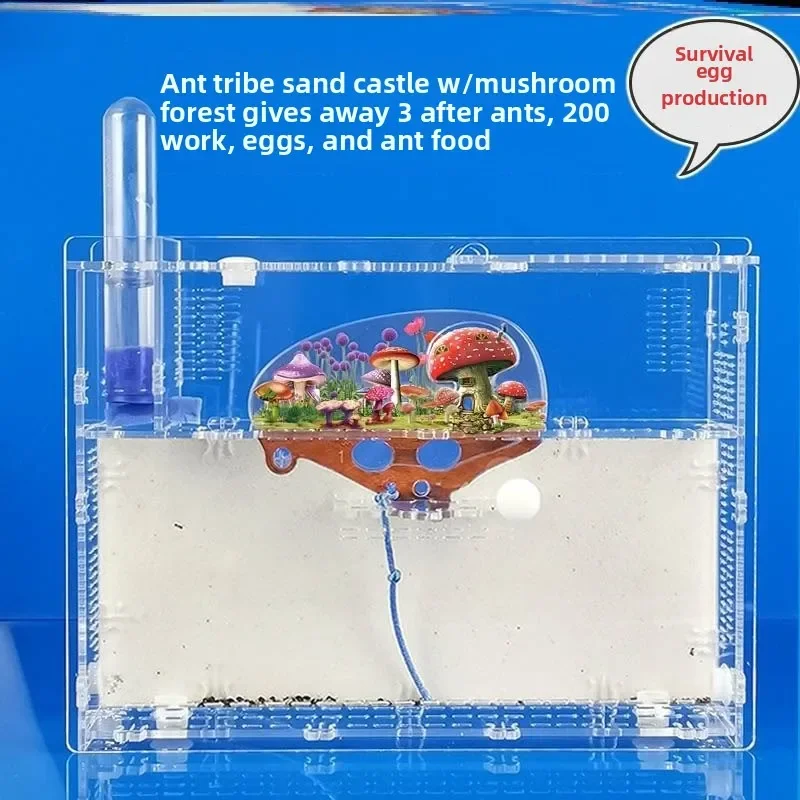 Ant castle farm workshop castle observation pet large workshop tribe ants