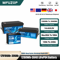 MFUZOP Rechargeable 12V LiFePO4 Battery Intelligent BMS System 1280Wh 2560Wh 3840Wh for Solar Storage System 100Ah 200Ah 300Ah