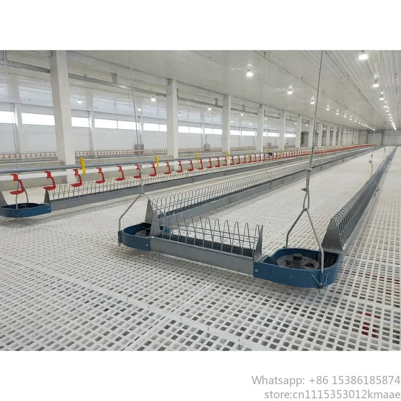 Vequyn Commercial Poultry Breeding Equipment with Automated Nest Collection and Flat-Raising System