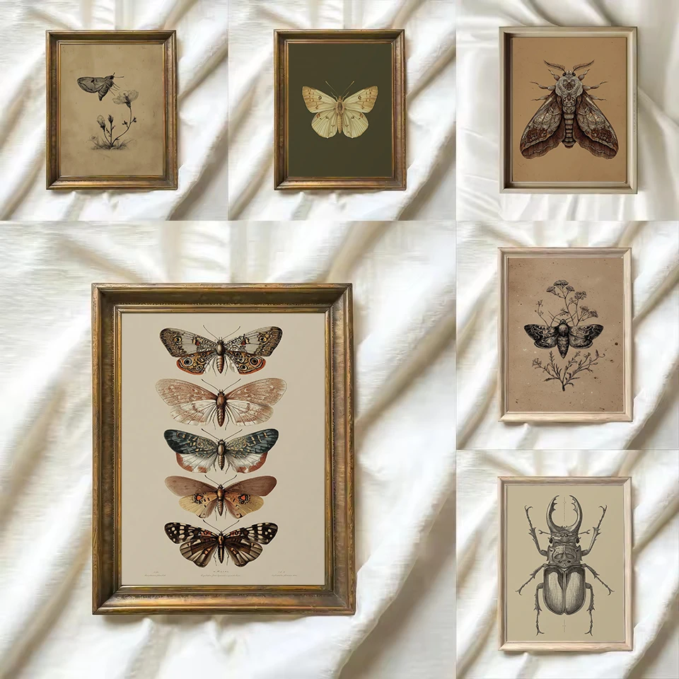 Vintage Insects Moth,Butterfly,Beetle Botanical Sketch Poster HD Prints Canvas Painting Wall Art Pictures Home Decor