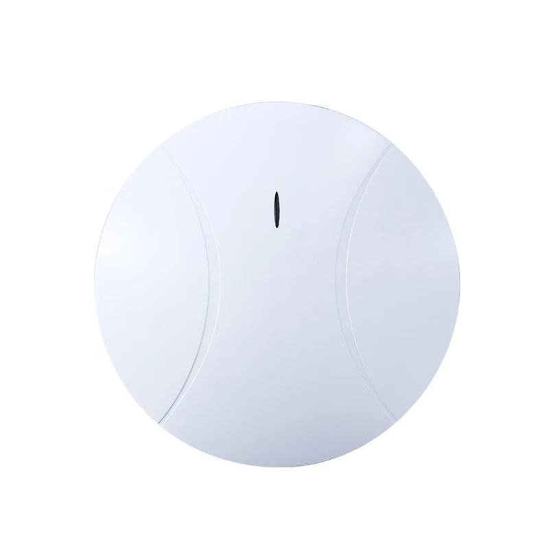 

Double Ceiling Access Point