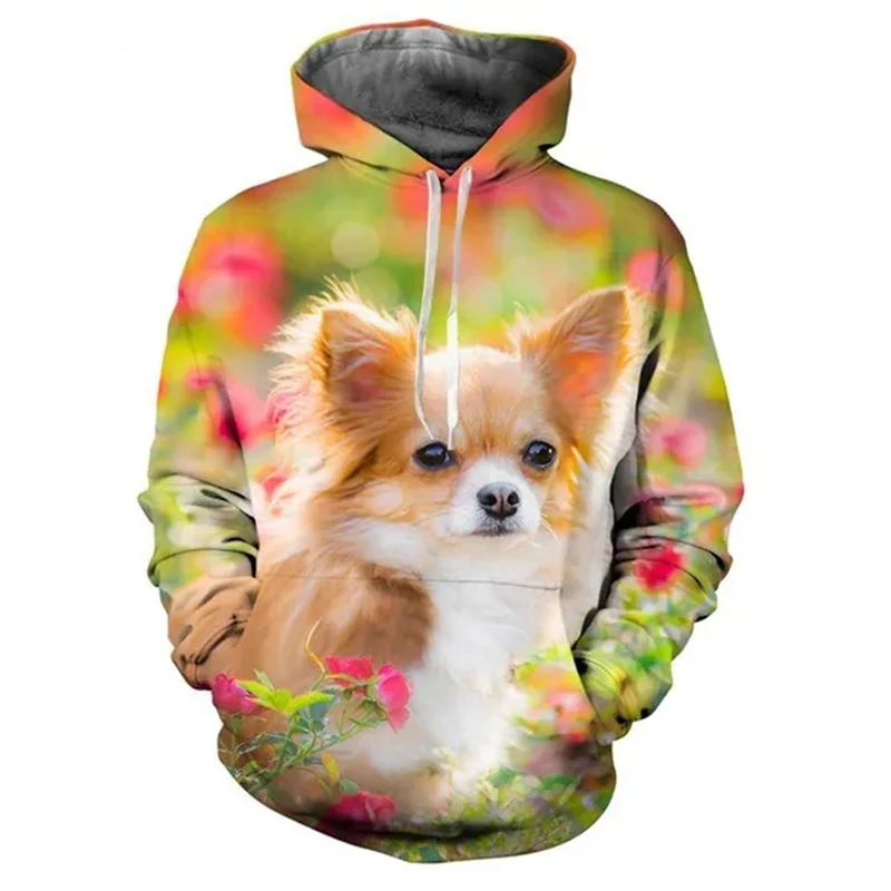 Autumn Animal Dog Chihuahua 3D Print Hoodies Men Women Fashion Casual Sweatshirts Oversized Hoodie Pullovers Tracksuit Clothing