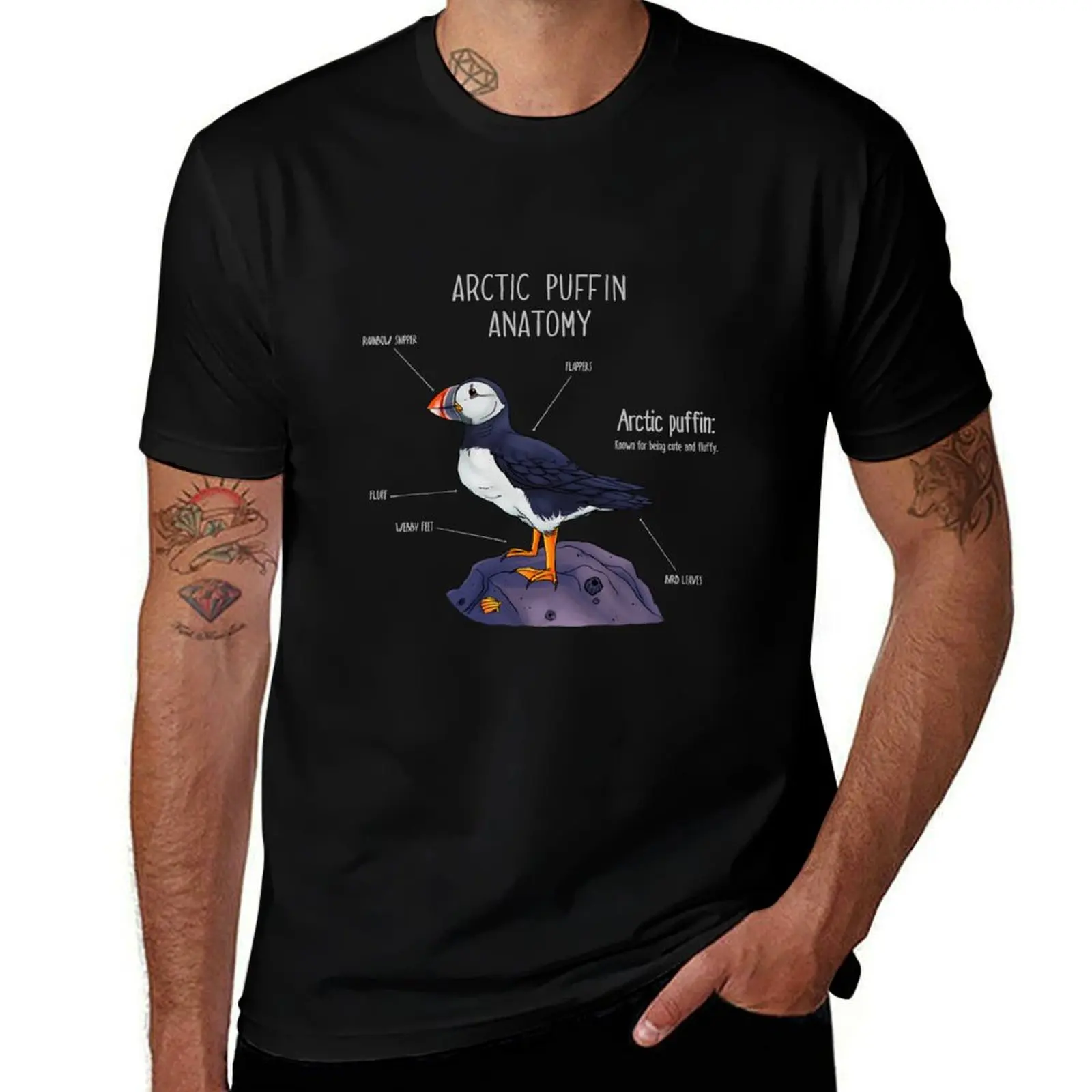 

Arctic puffin Anatomy T-Shirt man clothes vintage summer tops man t shirt oversized t shirts for men