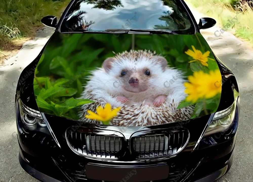 

Hedgehog animal Car Hood Decal Vinyl Sticker Graphic Wrap Decal Graphic Hood Decal for Most Vehicles Custom Graphics