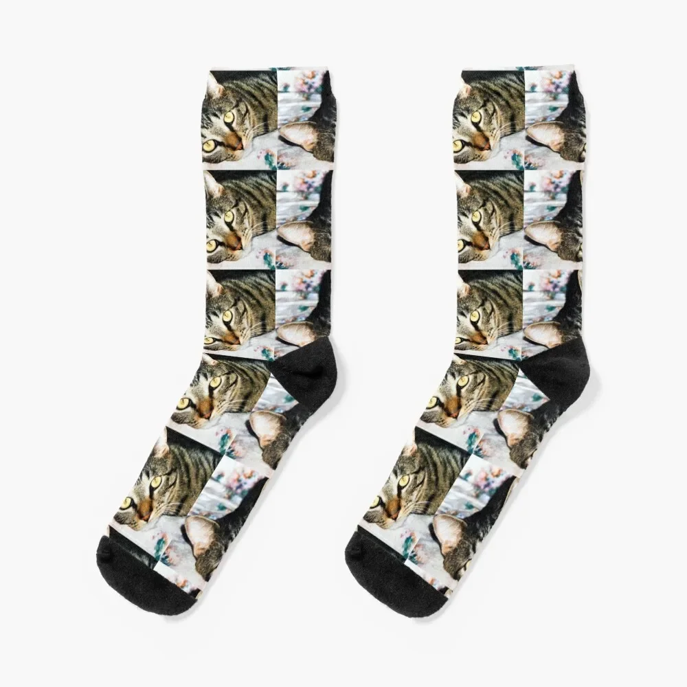 

Brown Tabby Cat Socks cotton luxury Socks Woman Men's