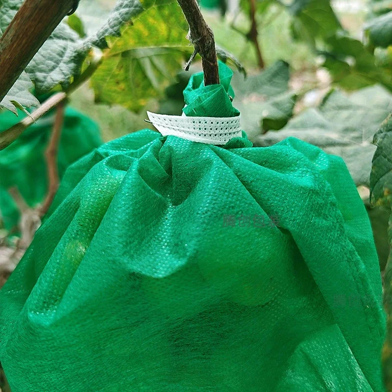 Tomato Protective Bags Breathable Translucent Insect And Bird Proof Fruit Fly Resistant Covers For Garden Balcony For Gardeners