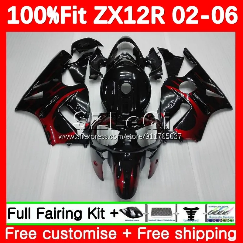 Injection For KAWASAKI NINJA ZX-12R ZX12R Red Flames 02 03 04 05 06 116No.6 ZX 12R ZX1200 CC 2002 2003 2004 2005 2006 Fairing