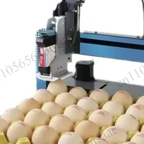 Touch Screen Chicken Egg Inkjet Coding Machine, Eggshell Barcode Letter Stamping Printer for Farm Egg Marking