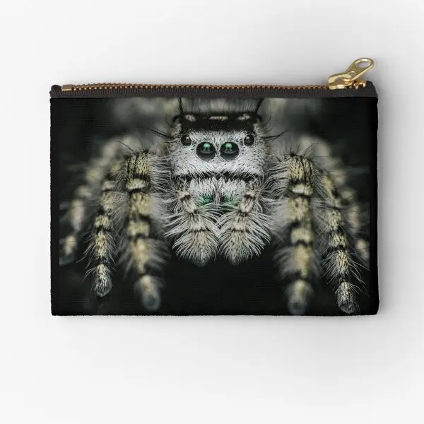 Jumping Spider Phidippus Otiosus  Zipper Pouches Women Pure Men Underwear Socks Bag Key Pocket Storage Panties Money Packaging