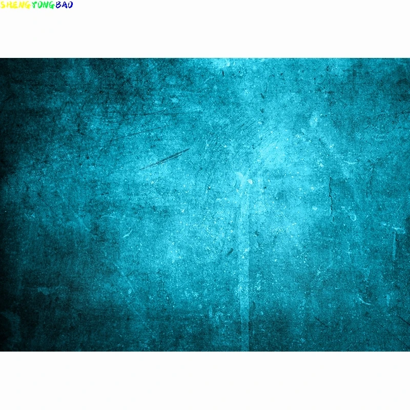 Vinyl Custom Vintage Photography Backdrops Props Grunge Portrait Hand Painted Theme Photo Studio Background VF-02