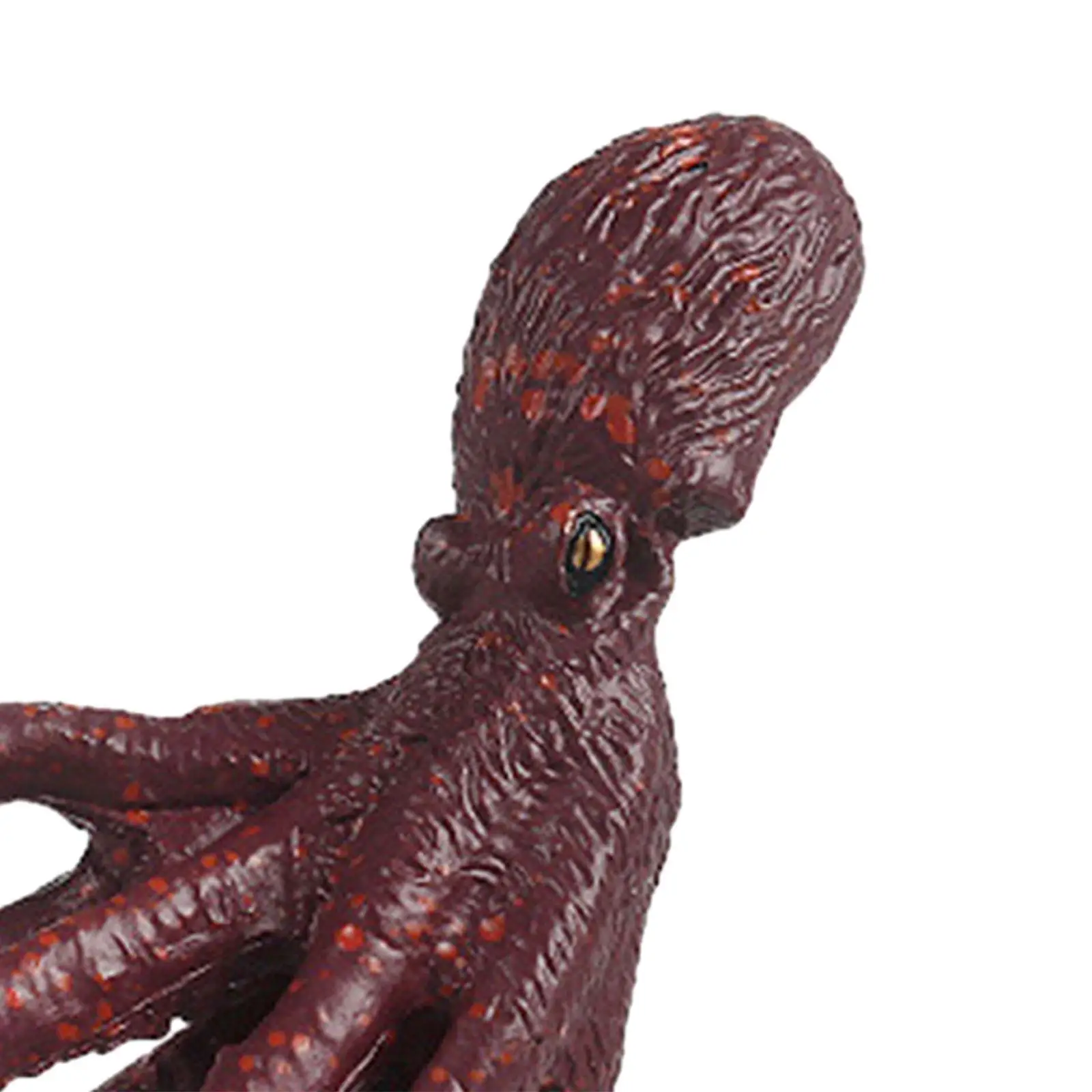 Lifelike Squid Figurine Model Toy, Figura Animal Marinha, Brinquedos científicos