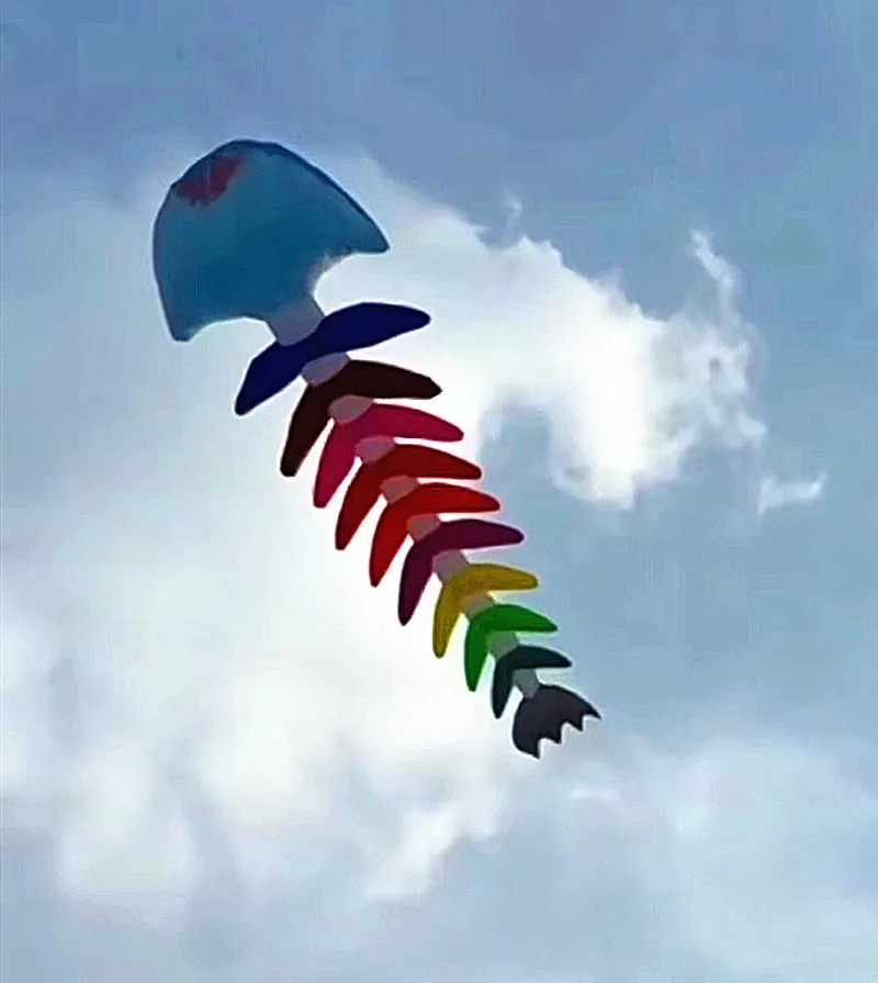 Free shipping fishbone soft kites pendant flying fish kites adults kites inflatable large kite outdoor toy giant kites to fly