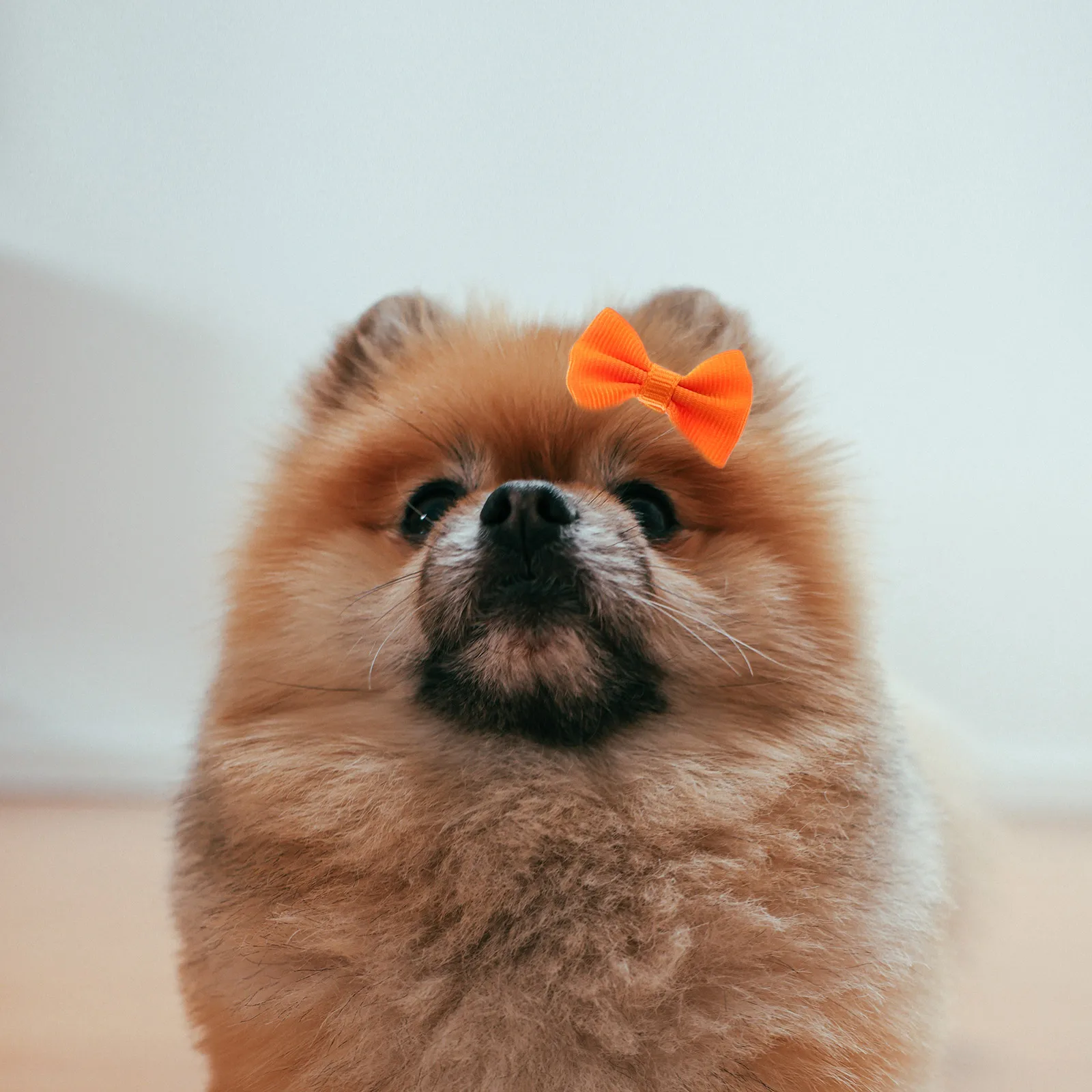 

30pcs Dog Cat Hair Accessories Pet Bowknot Bows Cute Fashion Alligator Clip for Puppy Grooming Decorations Durable Soft