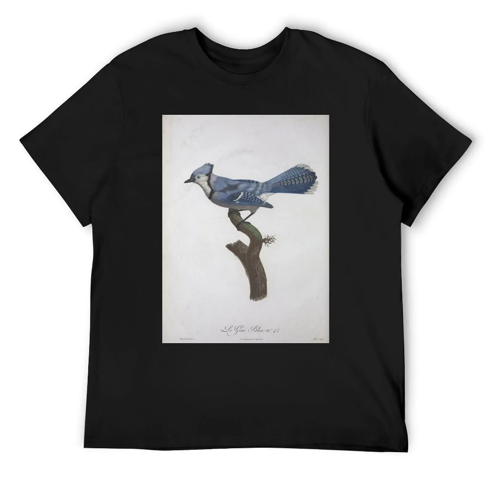 

Natural history of birds of paradise T-Shirt Blouse kawaii clothes graphics plain t shirts men