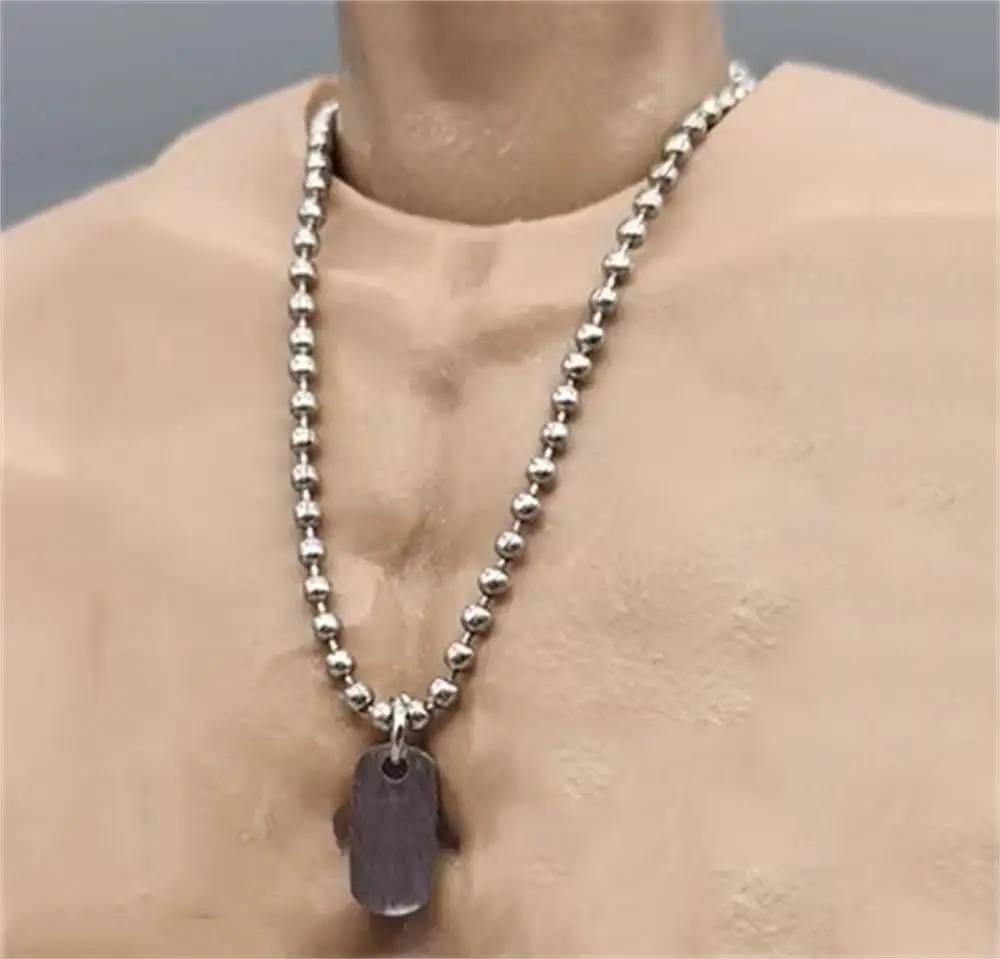 Big Sales 1/6 ZYTOYS DID Facepoolfigure US. Soldier Doll Necklace Dogtab Toys Model Accessories For 12