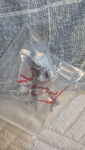 Buyer photo of this resin kit