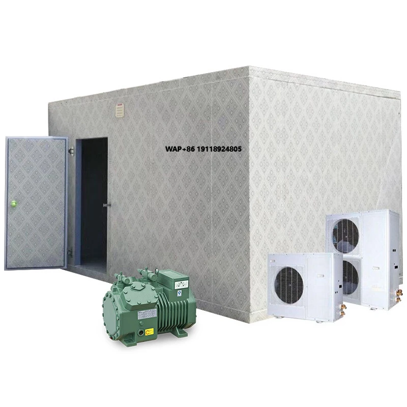 

Large Fruit Vegetable Cold Storage Controlled Atmosphere Preservation Freezer Warehouse Ice Storage Refrigeration Machine