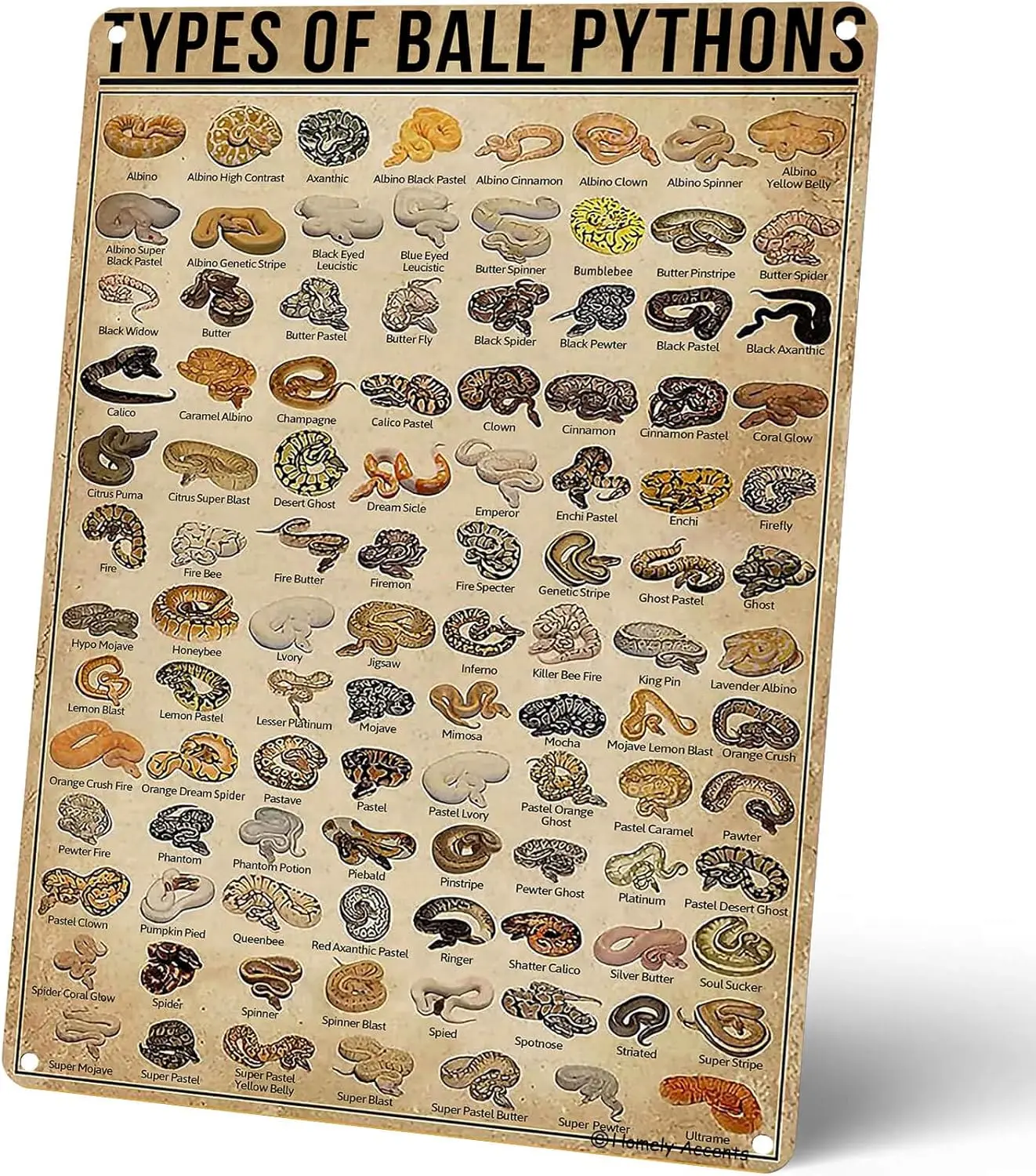 Types Of Ball Pythons Vintage Metal Signs, Quirky Snake Breeds Education Tin Poster Gift for Reptile Enthusiasts, Farmhouse Zoo