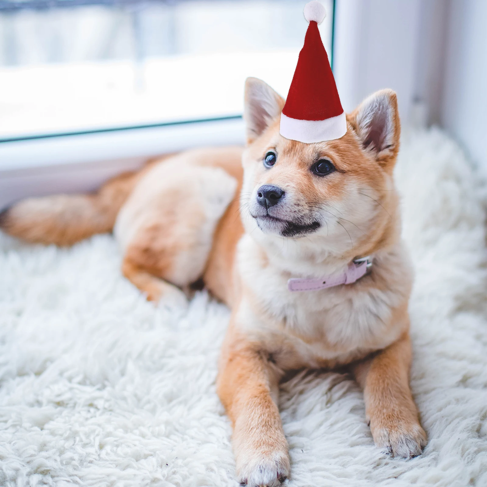 

1Set Christmas Hat Scarf Set Mini Adjustable Red Perfect for Small Pet Xmas Costume Party Decor Photo Prop Xmas Hat Scarf