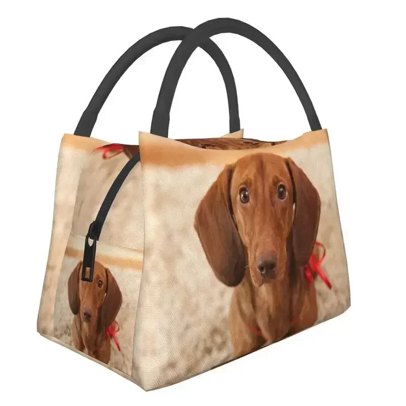 

Cute Dachshund Dog Thermal Insulated Lunch Bag Women Sausage Lunch Container for Outdoor Camping Travel Storage Meal Food Box