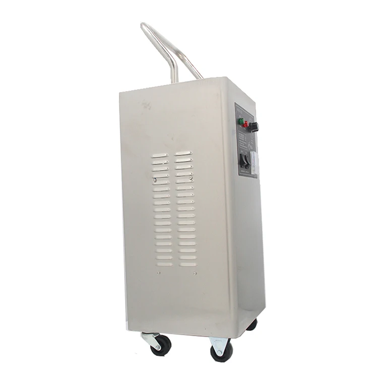 Portable 10g Ozone Generator Water-Ozone Cleaner with 220v Voltage 1-Year Warranty