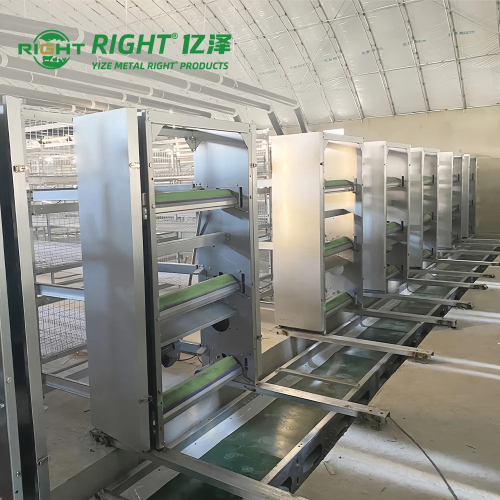 High Efficiency Automatic Manure Handling Equipment for Chicken Poultry House