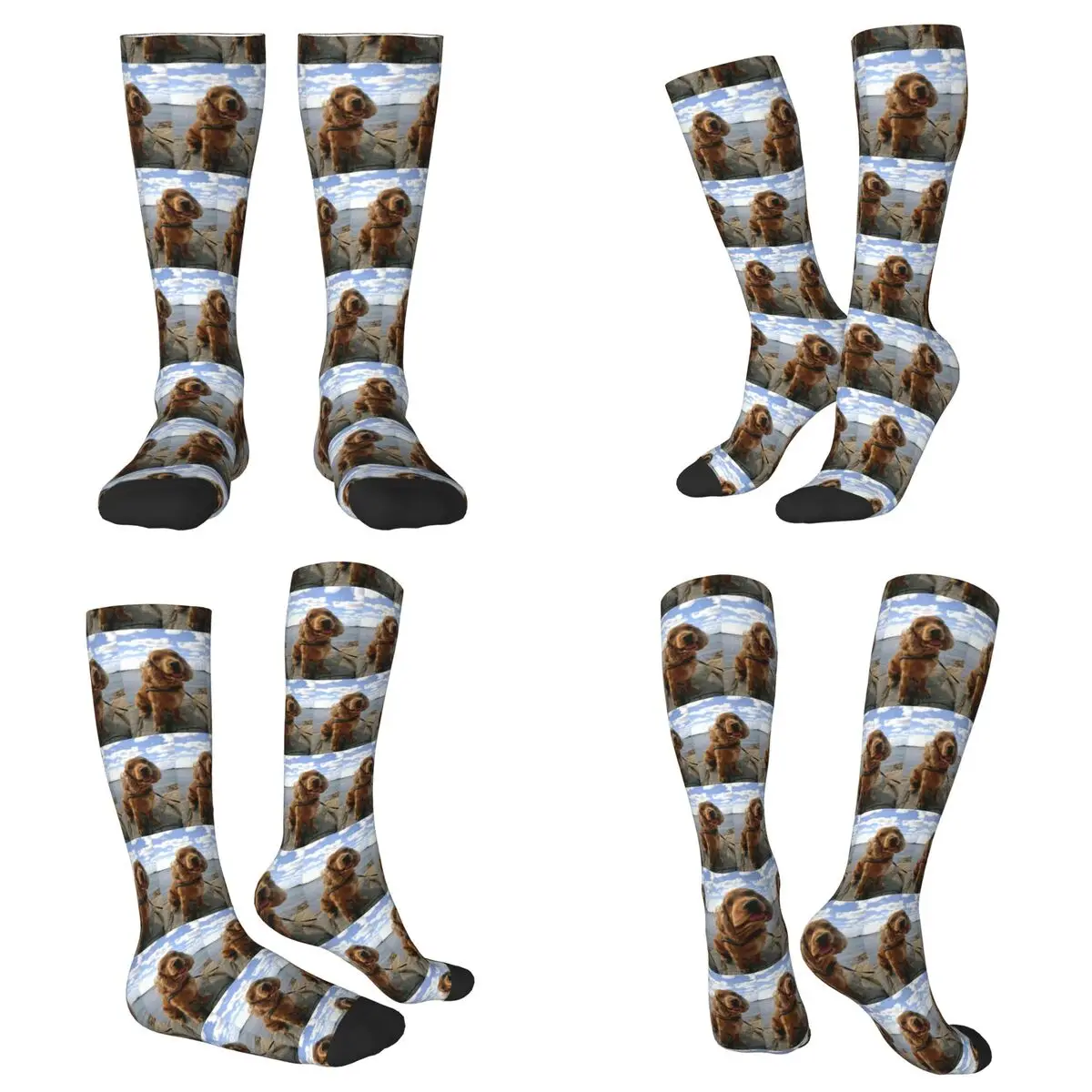 

Всесезонные забавные крутые носки с изображением кокера-спаниеля и собаки, носки в стиле Харадзюку, чулки в стиле хип-хоп для мужчин и женщин