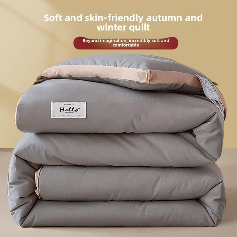 Thick Warm Quilt Air Conditioning Blanket All Seasons Space Bedding Single Size 2026 New Winter Quilt Thickened To Keep Warm
