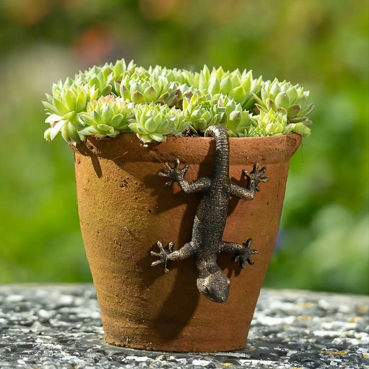 A32I Garden Decorative Potted Partner Bronze Gecko Janshore Flower Pot Suspension Decorative Suspension Garden Ornaments