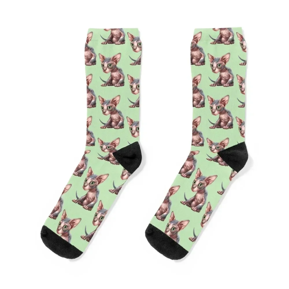 

Cat-a-clysm: Sphynx kitten - Classic Socks hockey designer Rugby Run Women Socks Men's