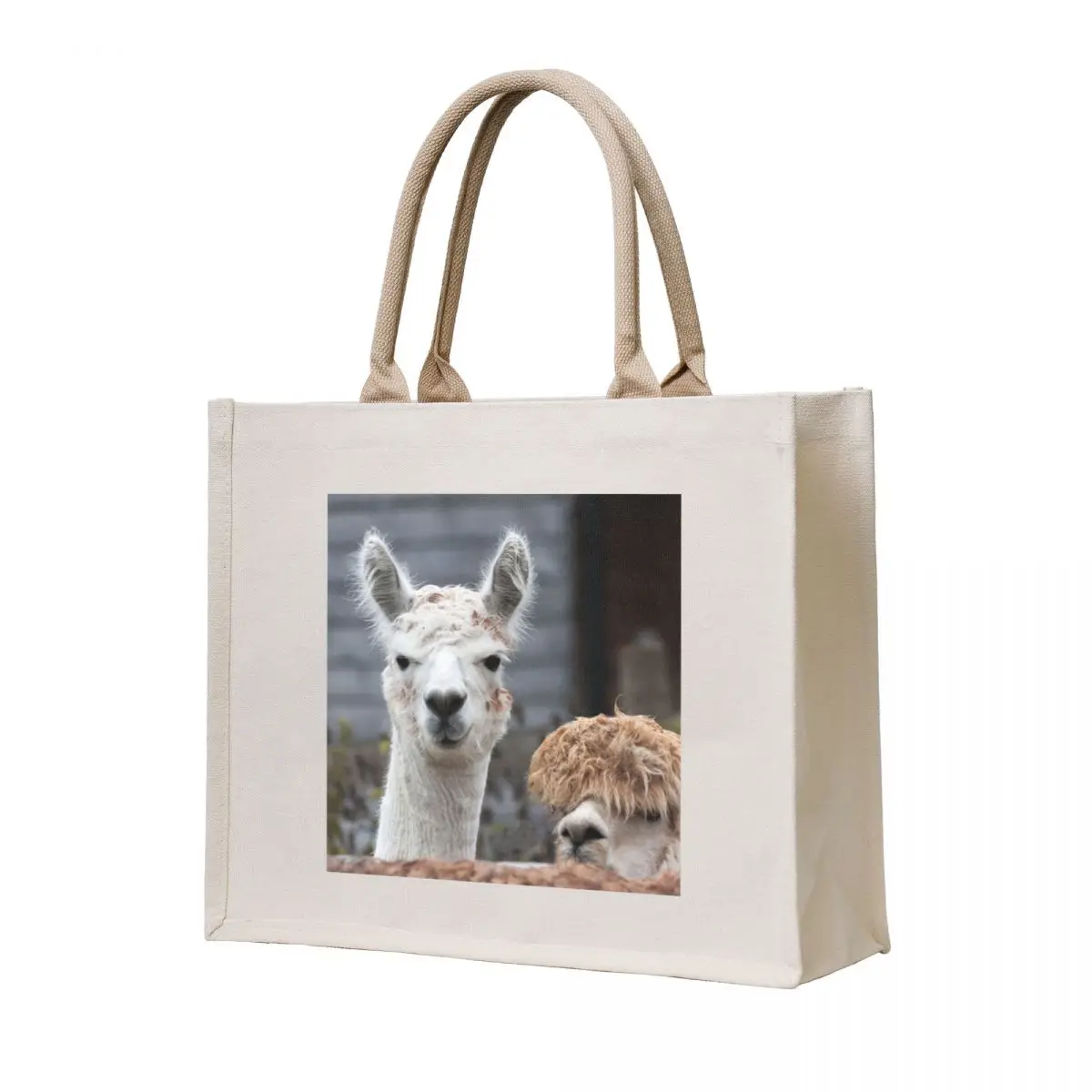 

Curious alpacas cute animals Tote Bag Candy bags Women's bags bag for beach