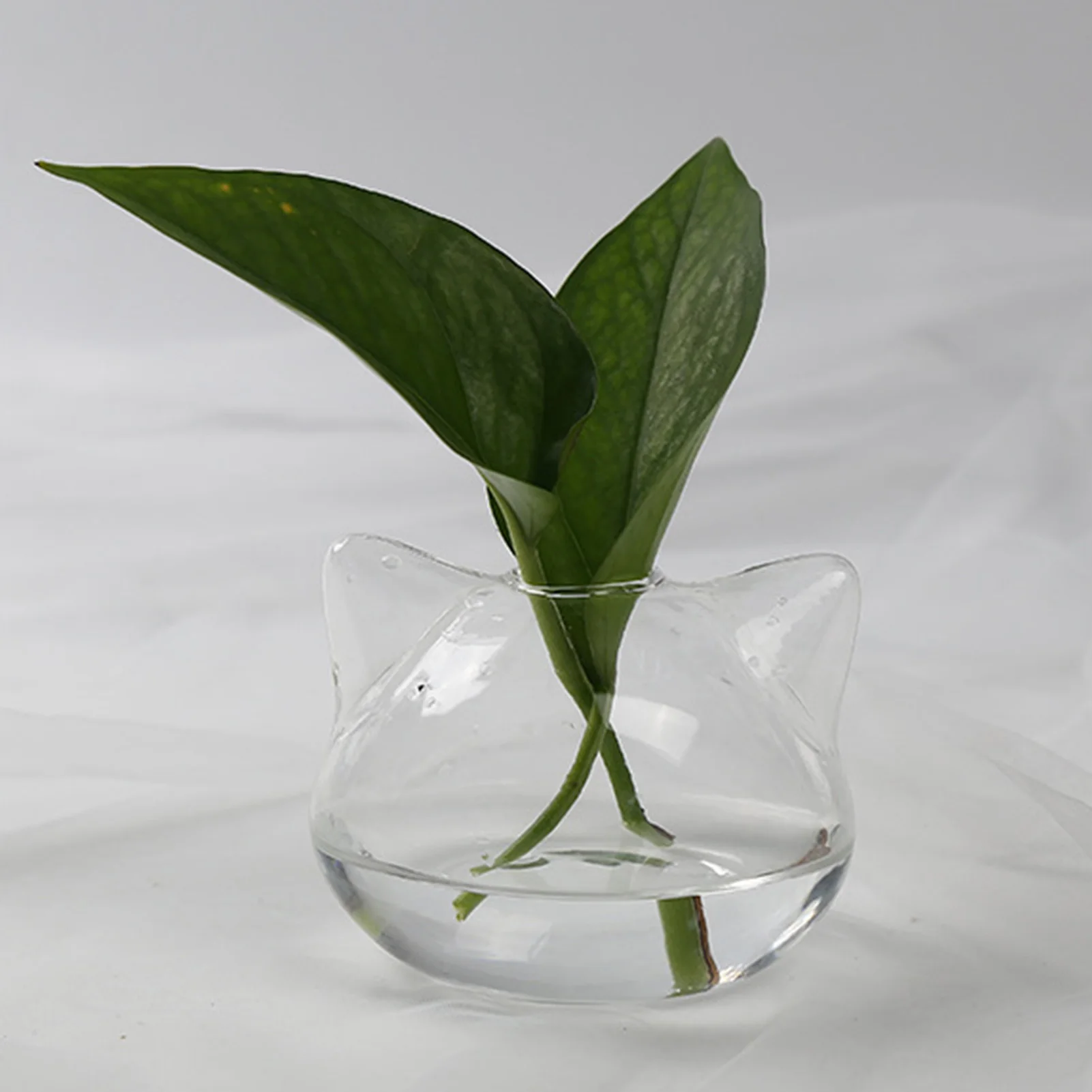 

Plant Flower Vase Cartoon Cat Glass Vases Hydroponic Landscape Holder Succulent Terrarium Planter for Tabletop Succulent Planter