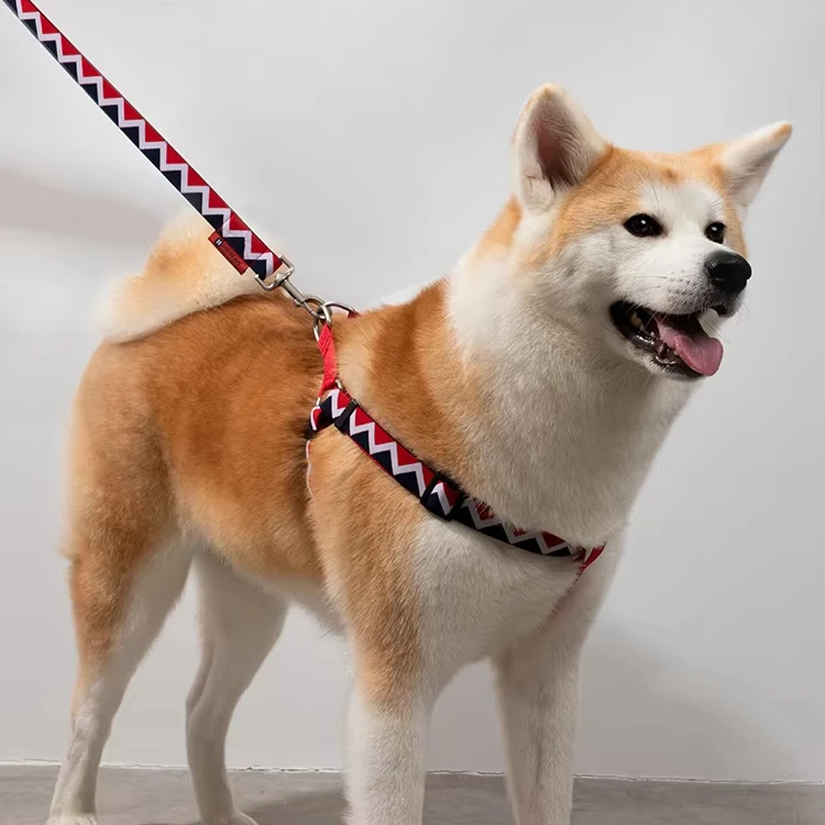 

Rainbow Series Personalized Eco-Friendly Adjustable Pet Leashes Comfortable Double-Layer Woven 100% Nylon Collar Vest Scarf