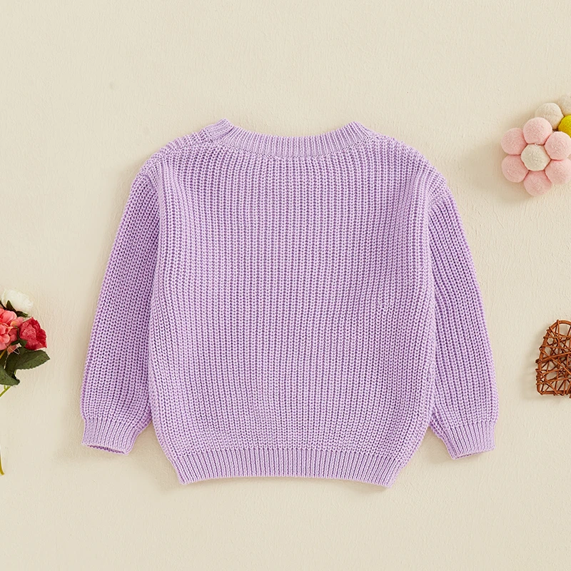 Kids Baby Girls Fall Winter Sweater Casual Letter Floral Embroidery Warm Knitted Long Sleeves Infant Knitwear for Toddler