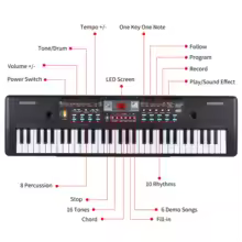 61 Keys USB Electronic Organ Kids Electric Piano with Microphone Black Digital Music Electronic Keyboard LED Display Built-in Du