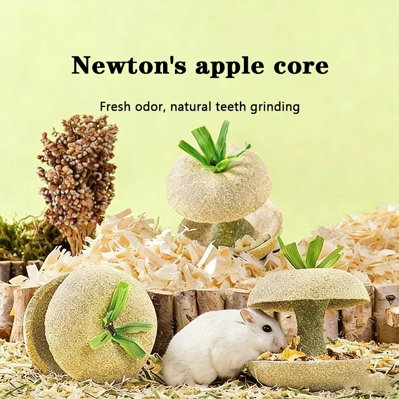 

Healthy Timothy Grass Biscuits Apple Wood Chew Sticks Hamster Snacks Teeth Care Toys Hideout Landscape for Syrian Hamster ﻿