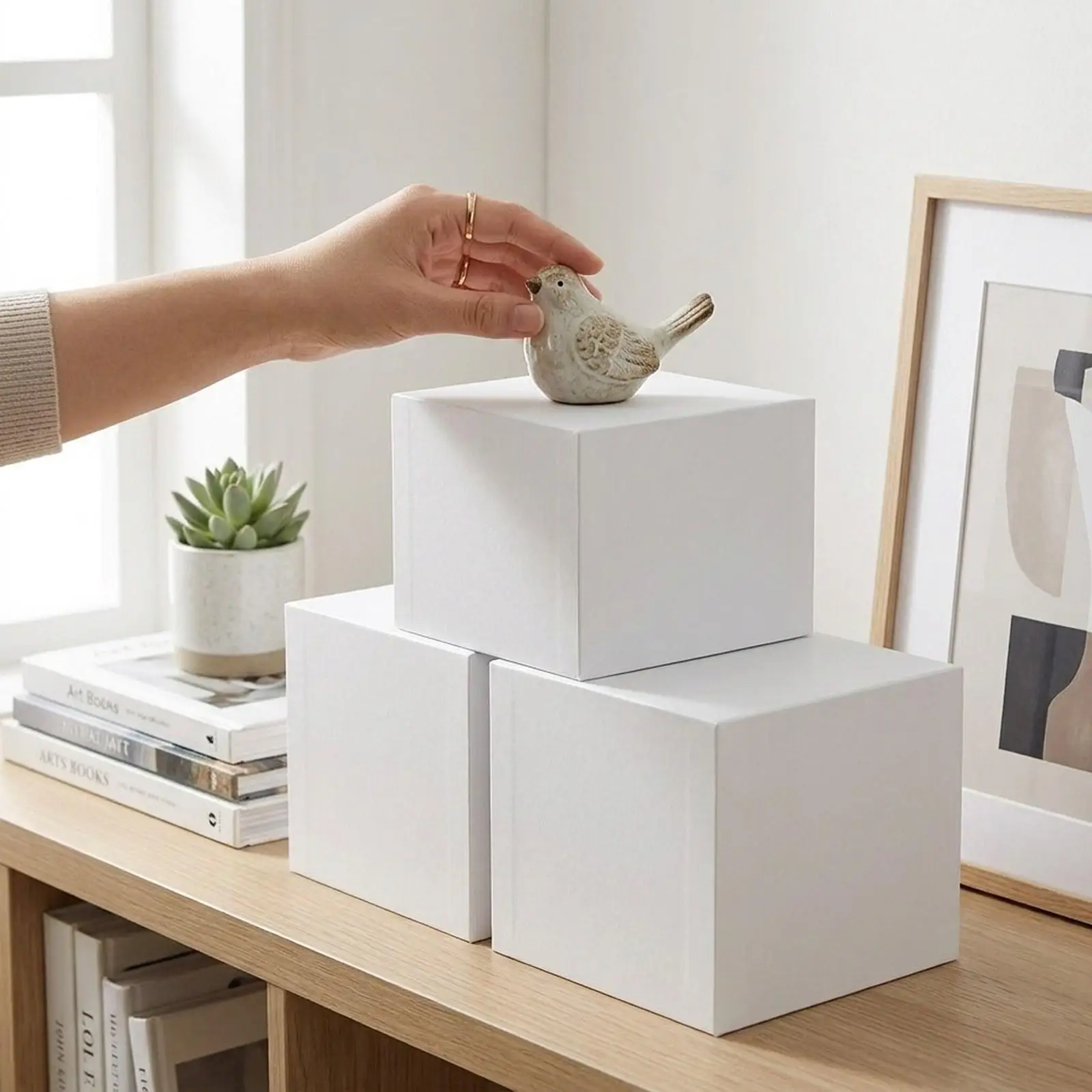 Caja expositora de acrílico para gato y perro, cubo multiusos - imagen 5