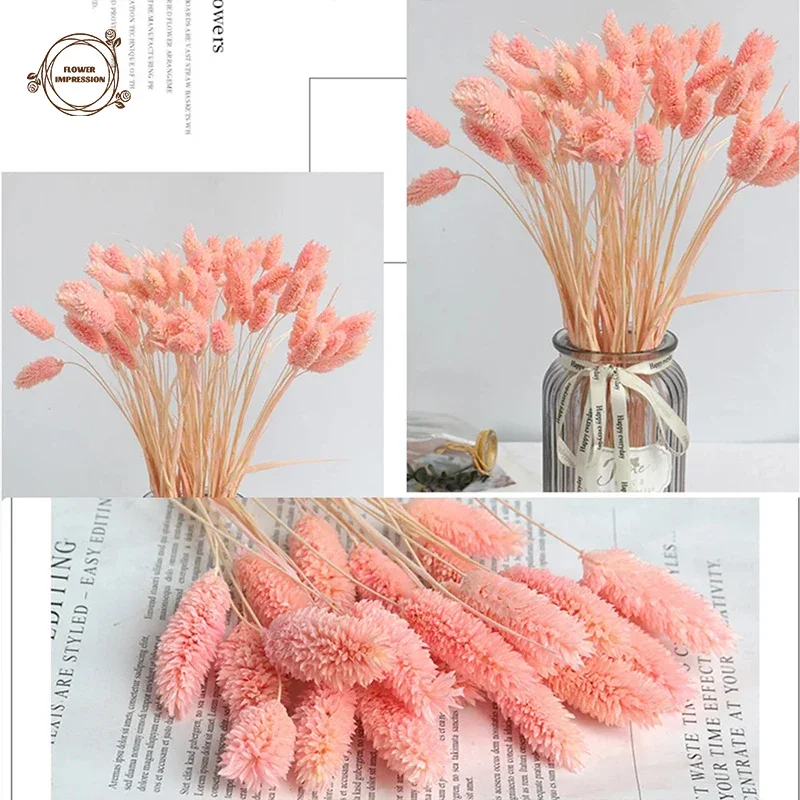 Natural Jewelry Grass Dried Flower Accessories for Home Decor Bouquet Wedding Party Supplies Table Decortion Artificial Flowers