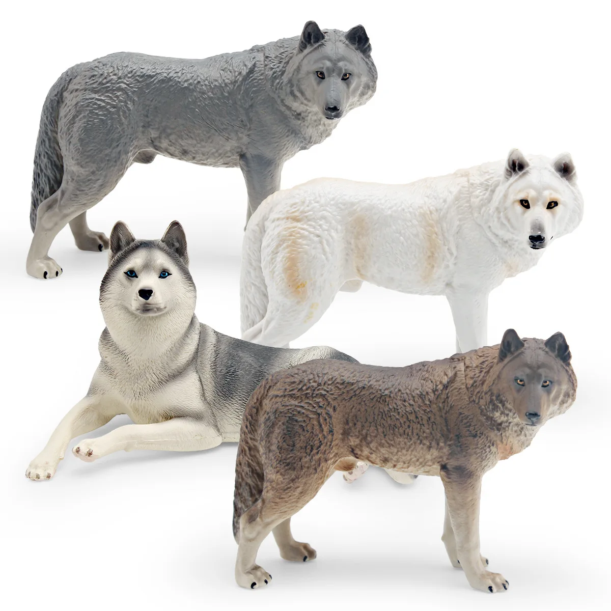 Cross-Border Simulation Wild Animal Models Children's Cognitive Decorative Ornamentsincl Blue Wolf Grey Wolf White Wolf Husky