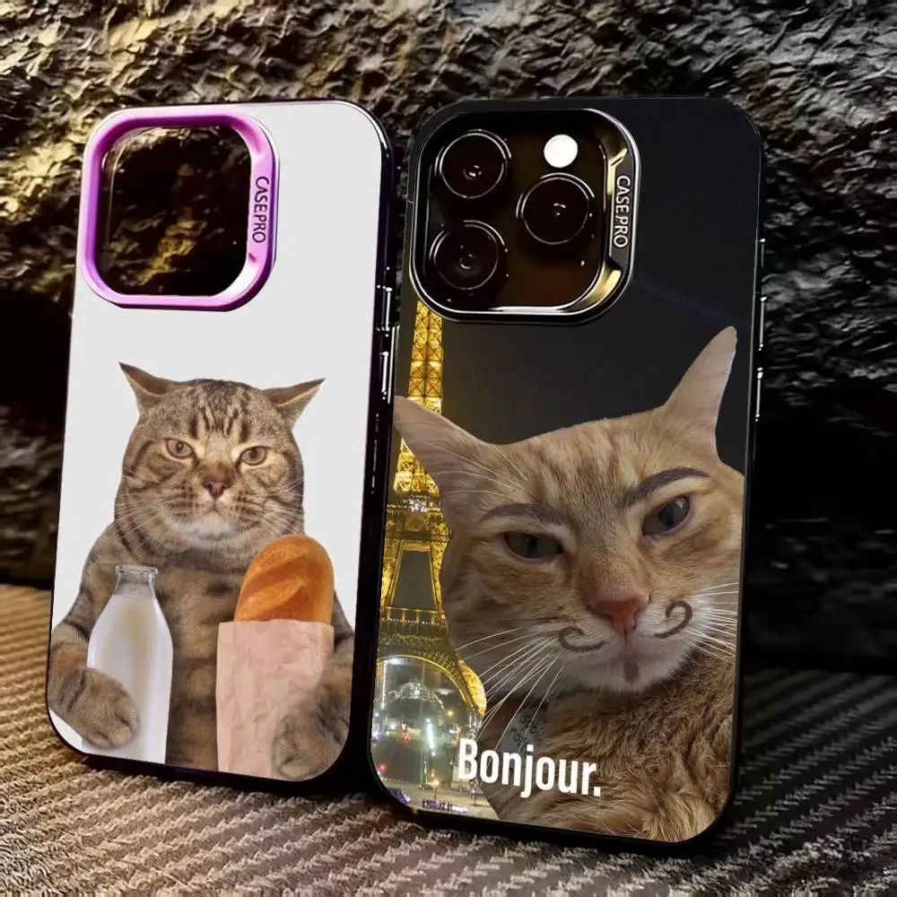 F-Funny C-Cat C-Cut…