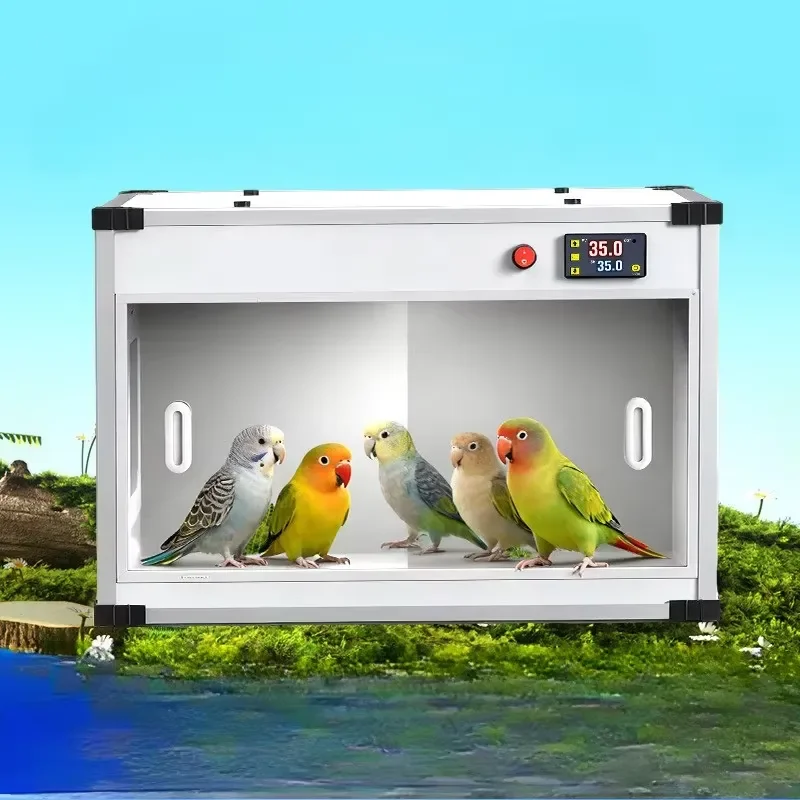 Parrot Acrylic & PVC Lightweight Rectangle Shape Brood Insulation for Baby Birds All Seasons Indoor Use