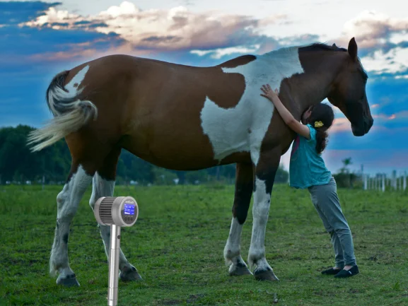 

Smart Instant Relief Laser Instrument: COZING-T05 Professional Back Pain Therapy & Canine/Feline Mobility Aid Device